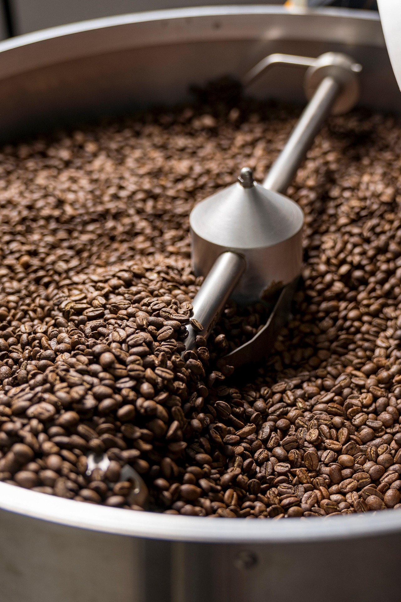 Roasted coffee beans being scooped